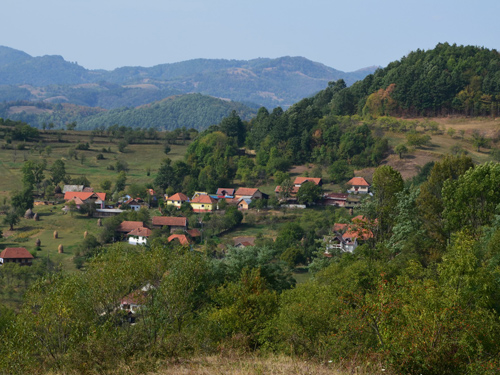 Foto Trestia (c) Lucian Petru Goja